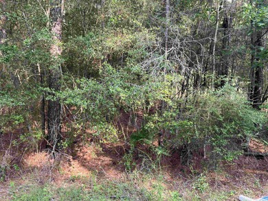 Immaculate, build-ready homesite ideally located just  mile from on Rayburn Country Club in Texas - for sale on GolfHomes.com, golf home, golf lot