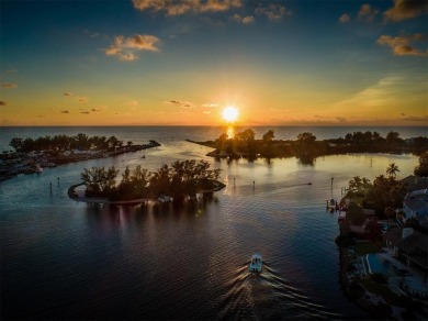 Welcome to Venice Island! Own your affordable piece of paradise on Lake Venice Golf Club in Florida - for sale on GolfHomes.com, golf home, golf lot