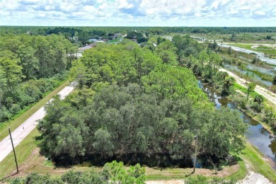 Exclusively presented by Sunland Real Estate: Discover your on Lehigh Resort Club in Florida - for sale on GolfHomes.com, golf home, golf lot