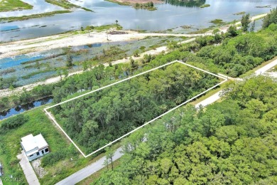 Exclusively presented by Sunland Real Estate: Discover your on Lehigh Resort Club in Florida - for sale on GolfHomes.com, golf home, golf lot