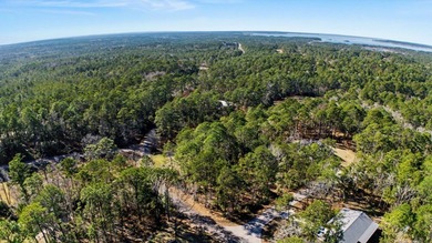 A beautiful half acre lot located on the 12th hole of the golf on Rayburn Country Club in Texas - for sale on GolfHomes.com, golf home, golf lot