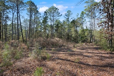 A beautiful half acre lot located on the 12th hole of the golf on Rayburn Country Club in Texas - for sale on GolfHomes.com, golf home, golf lot