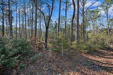 A beautiful half acre lot located on the 12th hole of the golf on Rayburn Country Club in Texas - for sale on GolfHomes.com, golf home, golf lot