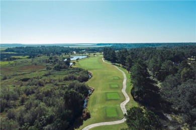 Build Your Dream Home on a Non-Flood lot in gated Sanctuary Cove on The Golf Club At Sanctuary Cove in Georgia - for sale on GolfHomes.com, golf home, golf lot