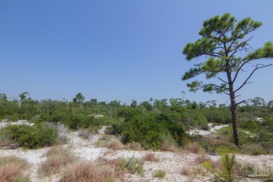 Gulf views without the million dollar price tag! This Lost Key on Lost Key Golf Club in Florida - for sale on GolfHomes.com, golf home, golf lot