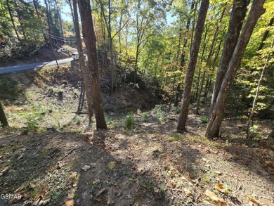 Septic Approval for a 1 bedroom and trees have been cleared for on Bent Creek Golf Course in Tennessee - for sale on GolfHomes.com, golf home, golf lot