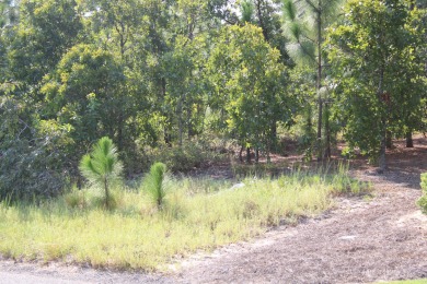 LISTING AGENT IS RELATED TO SELLER.This is your opportunity to on Midland Valley Country Club in South Carolina - for sale on GolfHomes.com, golf home, golf lot