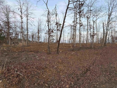 Level, cleared and ready for your dream home in Hot Springs on DeSoto Golf Course in Arkansas - for sale on GolfHomes.com, golf home, golf lot