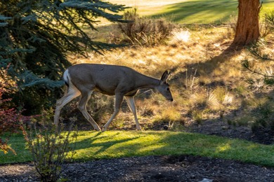 Nestled on a quiet cul-de-sac along the 18th fairway, this on Awbrey Glen Golf Club in Oregon - for sale on GolfHomes.com, golf home, golf lot