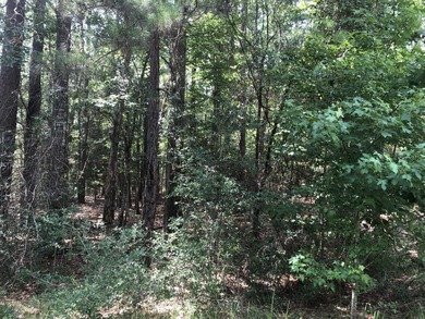 Beautiful wooded lot in the desirable Rayburn Country.  Nice on Rayburn Country Club in Texas - for sale on GolfHomes.com, golf home, golf lot
