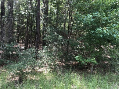Beautiful wooded lot in the desirable Rayburn Country.  Nice on Rayburn Country Club in Texas - for sale on GolfHomes.com, golf home, golf lot