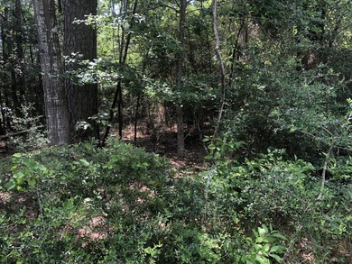 Beautiful wooded lot in the desirable Rayburn Country.  Nice on Rayburn Country Club in Texas - for sale on GolfHomes.com, golf home, golf lot