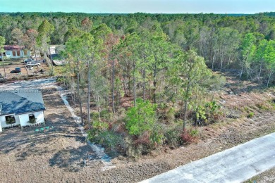 Exclusively presented by Sunland Real Estate: This is an on Mirror Lakes Golf Club in Florida - for sale on GolfHomes.com, golf home, golf lot