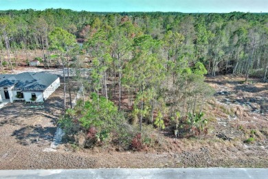 Exclusively presented by Sunland Real Estate: This is an on Mirror Lakes Golf Club in Florida - for sale on GolfHomes.com, golf home, golf lot