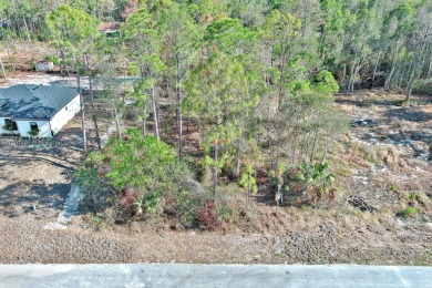 Exclusively presented by Sunland Real Estate: This is an on Mirror Lakes Golf Club in Florida - for sale on GolfHomes.com, golf home, golf lot