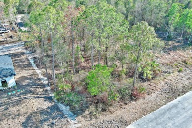 Exclusively presented by Sunland Real Estate: This is an on Mirror Lakes Golf Club in Florida - for sale on GolfHomes.com, golf home, golf lot