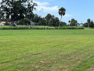 Beautifully Updated GOLF COURSE Frontage Home with the ABSOLUTE on Village Green Golf Club of Sarasota in Florida - for sale on GolfHomes.com, golf home, golf lot