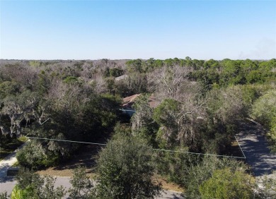 Oversized corner lot in Grand Haven! 
Seize this incredible on Grand Haven Golf Club in Florida - for sale on GolfHomes.com, golf home, golf lot