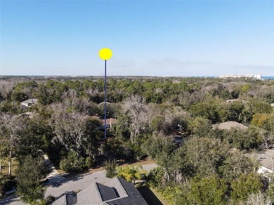 Oversized corner lot in Grand Haven! 
Seize this incredible on Grand Haven Golf Club in Florida - for sale on GolfHomes.com, golf home, golf lot
