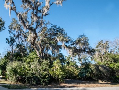 Oversized corner lot in Grand Haven! 
Seize this incredible on Grand Haven Golf Club in Florida - for sale on GolfHomes.com, golf home, golf lot