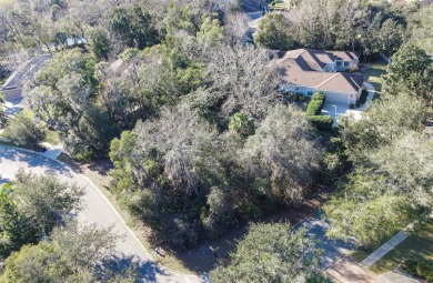 Oversized corner lot in Grand Haven! 
Seize this incredible on Grand Haven Golf Club in Florida - for sale on GolfHomes.com, golf home, golf lot