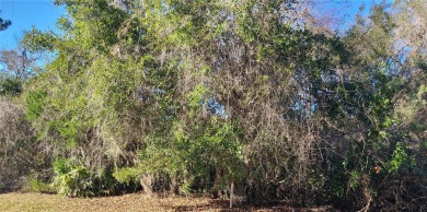 Oversized corner lot in Grand Haven! 
Seize this incredible on Grand Haven Golf Club in Florida - for sale on GolfHomes.com, golf home, golf lot