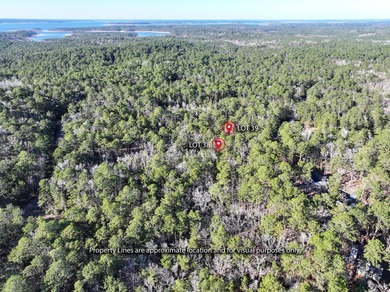 Two Lots. One Dream. Lake Life Starts Here. Being sold together on Rayburn Country Club in Texas - for sale on GolfHomes.com, golf home, golf lot