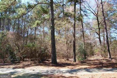 Beautiful level lot overlooking #16 fairway/tee boxes/lake view S on Great Waters Course At Reynolds Plantation in Georgia - for sale on GolfHomes.com, golf home, golf lot