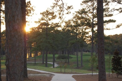 215-acre lot located in Section 11 of Rayburn Country. MUD on Rayburn Country Club in Texas - for sale on GolfHomes.com, golf home, golf lot