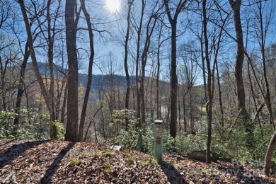 An exceptional opportunity for investors or vacationers seeking on Rumbling Bald Resort on Lake Lure in North Carolina - for sale on GolfHomes.com, golf home, golf lot