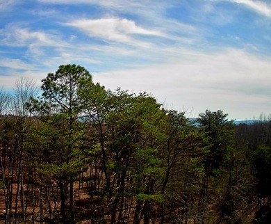 Nestled atop Lookout Mountain in Northern Georgia is McLemore on McLemore Golf Club in Georgia - for sale on GolfHomes.com, golf home, golf lot