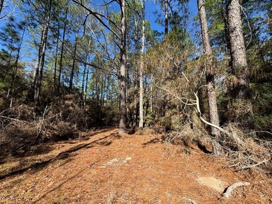 Nice -acre level corner lot located in the sought-after Rayburn on Rayburn Country Club in Texas - for sale on GolfHomes.com, golf home, golf lot