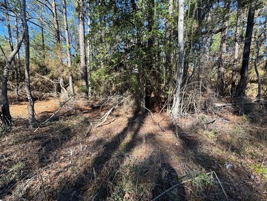 Nice -acre level corner lot located in the sought-after Rayburn on Rayburn Country Club in Texas - for sale on GolfHomes.com, golf home, golf lot