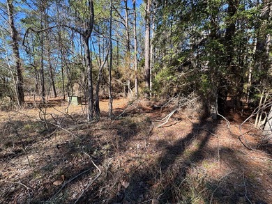 Nice -acre level corner lot located in the sought-after Rayburn on Rayburn Country Club in Texas - for sale on GolfHomes.com, golf home, golf lot