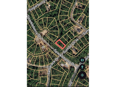 Nice -acre level corner lot located in the sought-after Rayburn on Rayburn Country Club in Texas - for sale on GolfHomes.com, golf home, golf lot