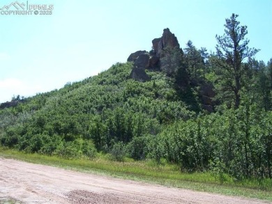 1-acre lot in scenic Perry Park has Tremendous Views of Soaring on Perry Park Country Club in Colorado - for sale on GolfHomes.com, golf home, golf lot