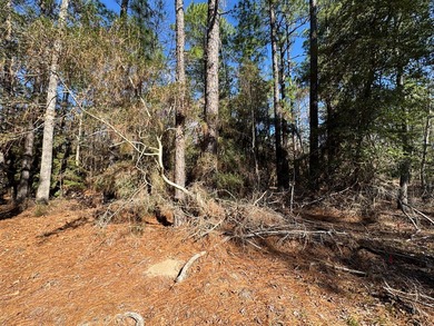 Nice -acre level corner lot located in the sought-after Rayburn on Rayburn Country Club in Texas - for sale on GolfHomes.com, golf home, golf lot