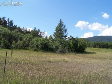 1-acre lot in scenic Perry Park has Tremendous Views of Soaring on Perry Park Country Club in Colorado - for sale on GolfHomes.com, golf home, golf lot