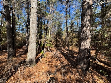 Nice -acre level corner lot located in the sought-after Rayburn on Rayburn Country Club in Texas - for sale on GolfHomes.com, golf home, golf lot