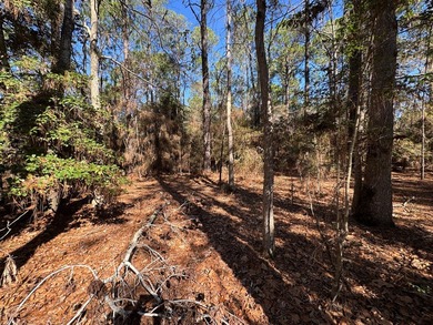 Nice -acre level corner lot located in the sought-after Rayburn on Rayburn Country Club in Texas - for sale on GolfHomes.com, golf home, golf lot