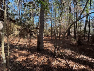 Nice -acre level corner lot located in the sought-after Rayburn on Rayburn Country Club in Texas - for sale on GolfHomes.com, golf home, golf lot