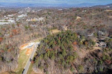 What do you get when you build your custom home in Hunting on Hunting Hills Country Club in Virginia - for sale on GolfHomes.com, golf home, golf lot