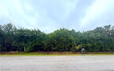 Build your dream home or next investment property on a 0.22-acre on Twin Isles Country Club in Florida - for sale on GolfHomes.com, golf home, golf lot