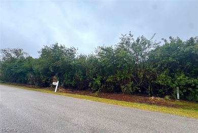 Build your dream home or next investment property on a 0.22-acre on Twin Isles Country Club in Florida - for sale on GolfHomes.com, golf home, golf lot