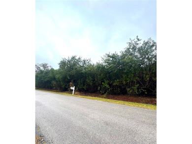 Build your dream home or next investment property on a 0.22-acre on Twin Isles Country Club in Florida - for sale on GolfHomes.com, golf home, golf lot