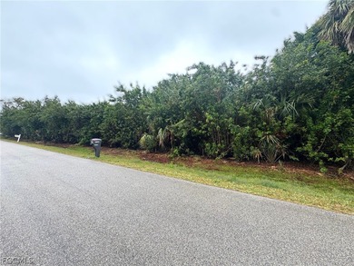 Build your dream home or next investment property on a 0.22-acre on Twin Isles Country Club in Florida - for sale on GolfHomes.com, golf home, golf lot