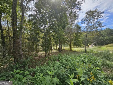 Point in the prestigious Currahee Club community. Perfectly on Currahee Golf Club in Georgia - for sale on GolfHomes.com, golf home, golf lot