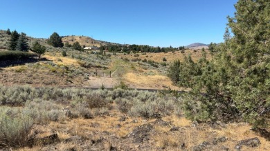 Three lots totaling 2.89 acres offer a rare opportunity to build on Reames Golf and Country Club in Oregon - for sale on GolfHomes.com, golf home, golf lot