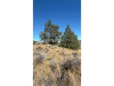 Three lots totaling 2.89 acres offer a rare opportunity to build on Reames Golf and Country Club in Oregon - for sale on GolfHomes.com, golf home, golf lot