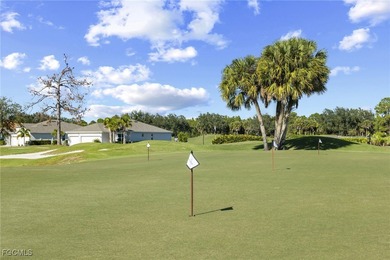 Set along a golf course with open views and no homes behind on Copperhead Golf Club in Florida - for sale on GolfHomes.com, golf home, golf lot